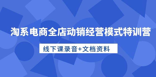 淘系电商全店动销经营模式特训营，线下课录音+文档资料-枫叶微课堂