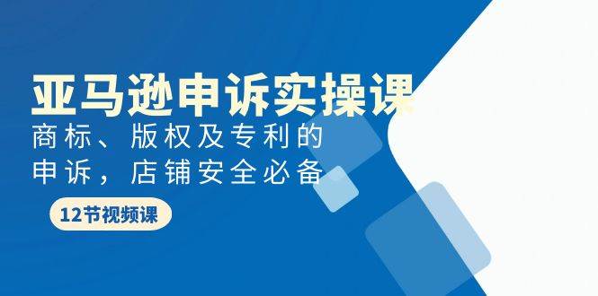 亚马逊-申诉实战课，商标、版权及专利的申诉，店铺安全必备-枫叶微课堂
