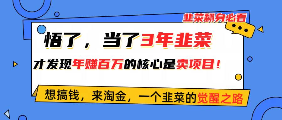 悟了，当了3年韭菜，才发现网赚圈年赚100万的核心是卖项目，含泪分享！-枫叶微课堂