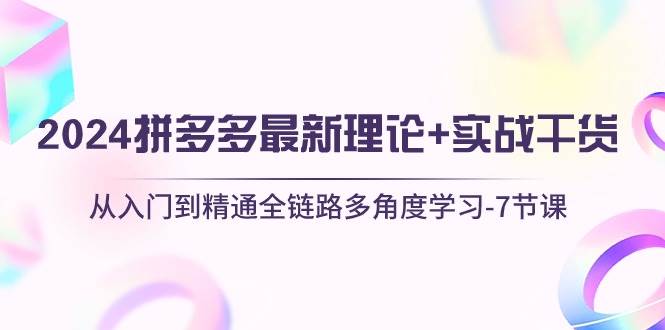 2024拼多多 最新理论+实战干货，从入门到精通全链路多角度学习-7节课-枫叶微课堂