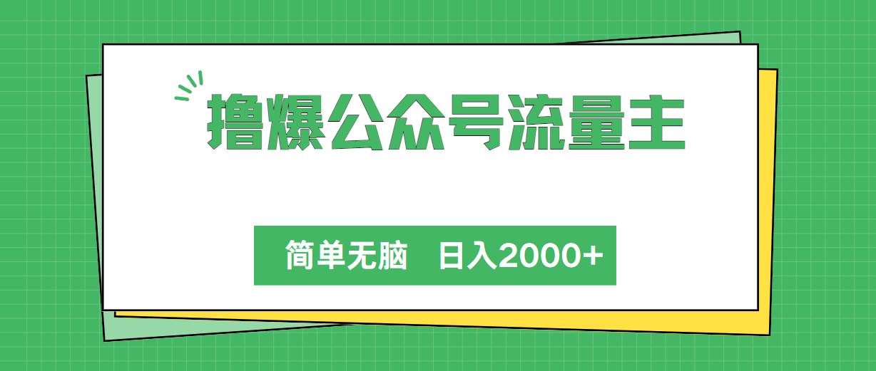撸爆公众号流量主，简单无脑，单日变现2000+-枫叶微课堂