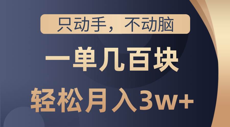 只动手不动脑，一单几百块，轻松月入3w+，看完就能直接操作，详细教程-枫叶微课堂
