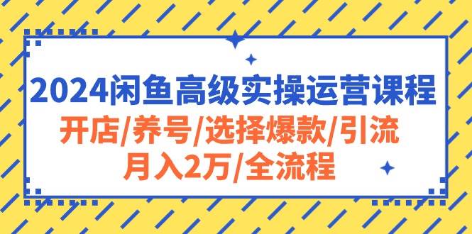 2024闲鱼高级实操运营课程：开店/养号/选择爆款/引流/月入2万/全流程-枫叶微课堂