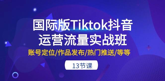 国际版Tiktok抖音运营流量实战班：账号定位/作品发布/热门推送/等等-13节-枫叶微课堂