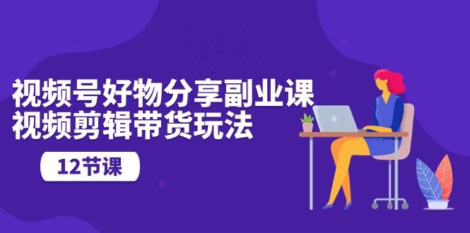 视频号好物分享副业课，视频剪辑带货玩法（12节课）-枫叶微课堂