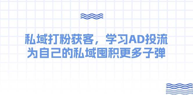 某收费课：私域打粉获客，学习AD投流，为自己的私域囤积更多子弹-枫叶微课堂