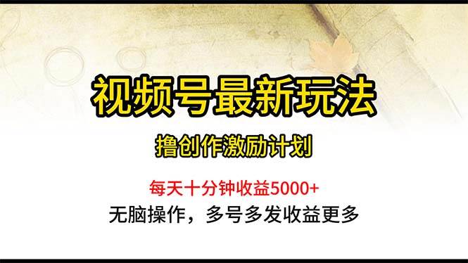 视频号最新玩法，每日一小时月入5000+-枫叶微课堂