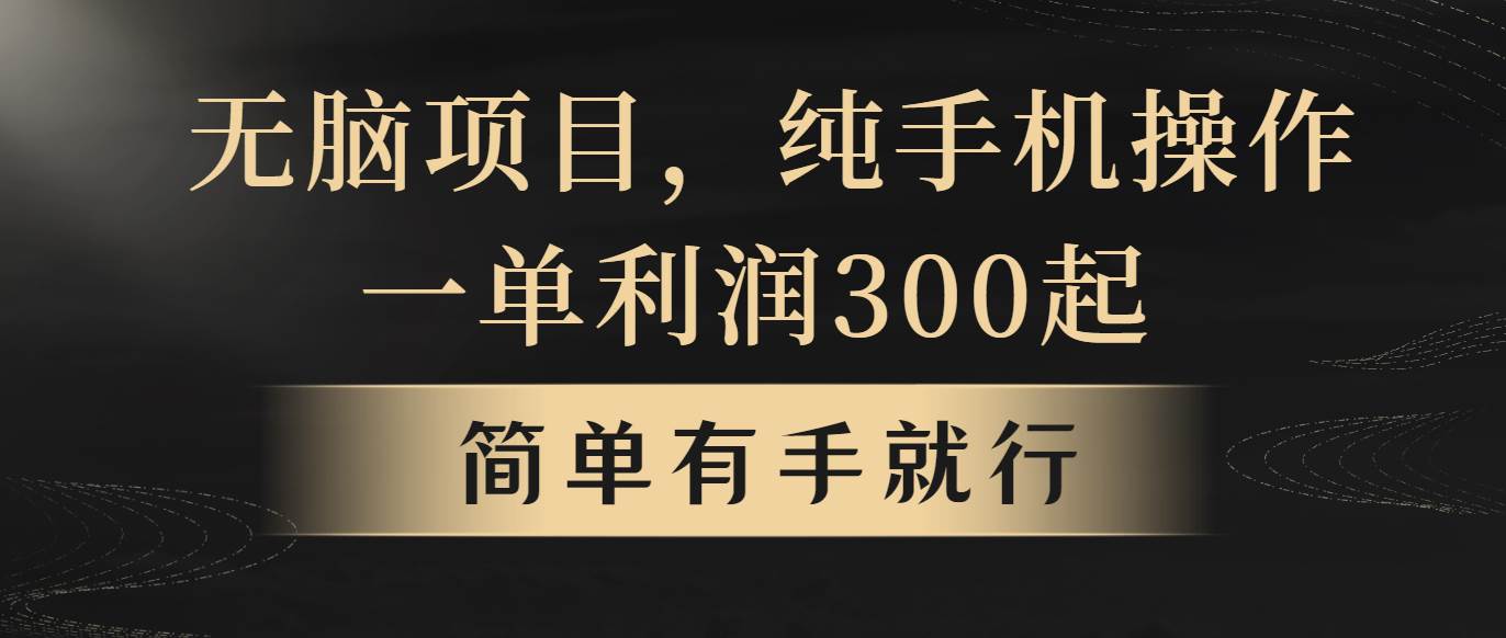 无脑项目，一单几百块，轻松月入5w+，看完就能直接操作-枫叶微课堂