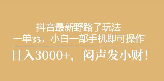 抖音最新野路子玩法，一单35，小白一部手机即可操作，，日入3000+，闷…-枫叶微课堂