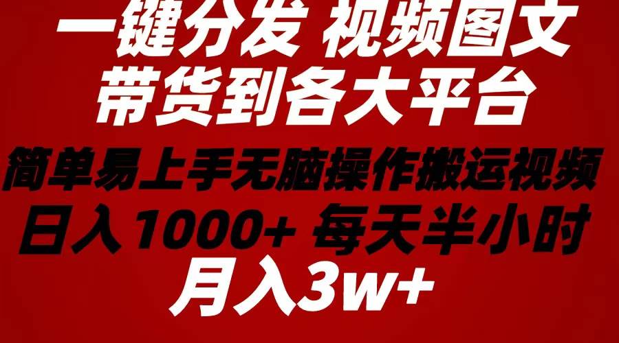 2024年 一键分发带货图文视频  简单易上手 无脑赚收益 每天半小时日入1…-枫叶微课堂