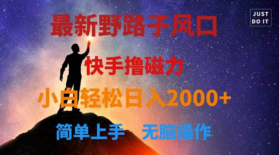 最新风口！快手撸磁力，野路子，小白无脑操作日入2000+-枫叶微课堂