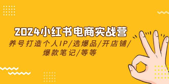 2024小红书电商实战营，养号打造IP/选爆品/开店铺/爆款笔记/等等（24节）-枫叶微课堂