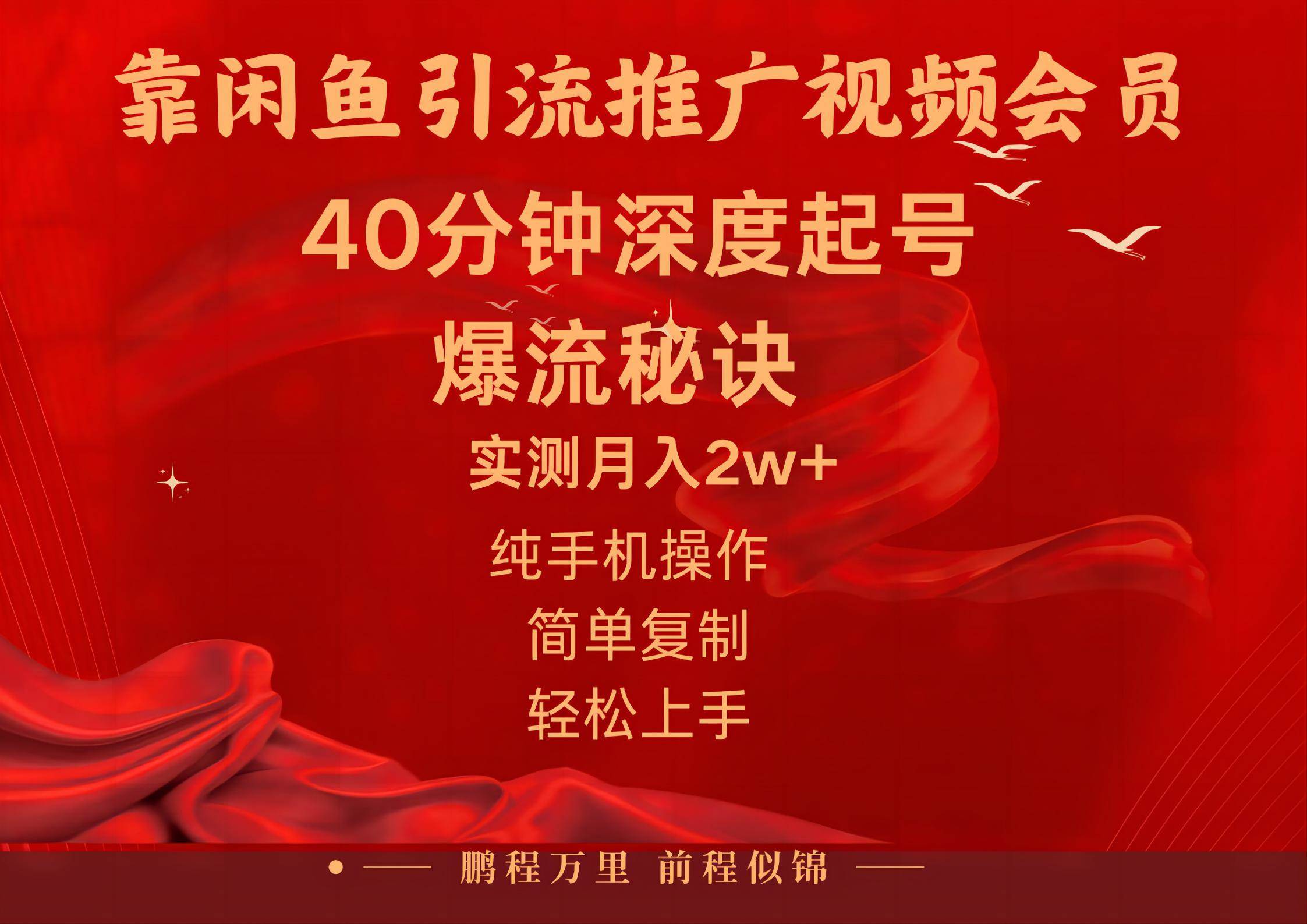 闲鱼暴力引流推广视频会员，能做到日入2W+，操作简单-枫叶微课堂