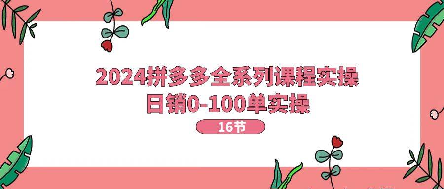 2024拼多多全系列课程实操，日销0-100单实操【16节课】-枫叶微课堂