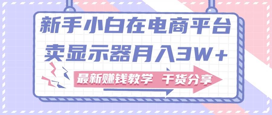 新手小白如何做到在电商平台卖显示器月入3W+，最新赚钱教学干货分享-枫叶微课堂