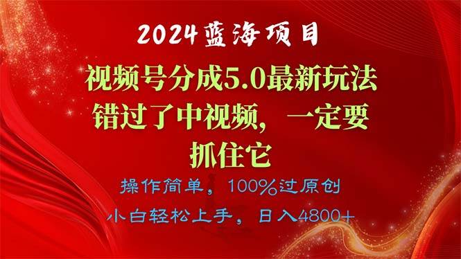 2024蓝海项目，视频号分成计划5.0最新玩法，错过了中视频，一定要抓住…-枫叶微课堂