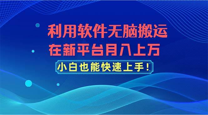 利用软件无脑搬运，在新平台月入上万，小白也能快速上手-枫叶微课堂