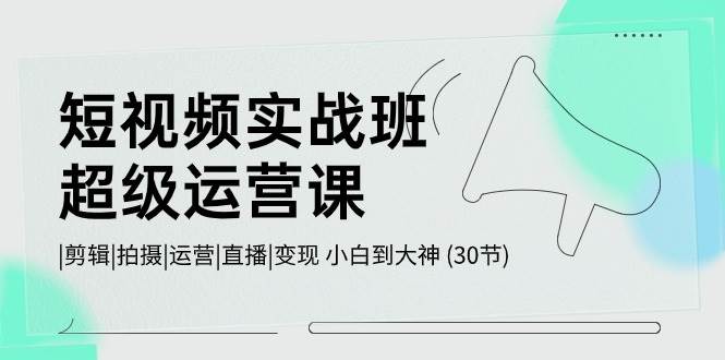 短视频实战班-超级运营课，|剪辑|拍摄|运营|直播|变现 小白到大神 (30节)-枫叶微课堂