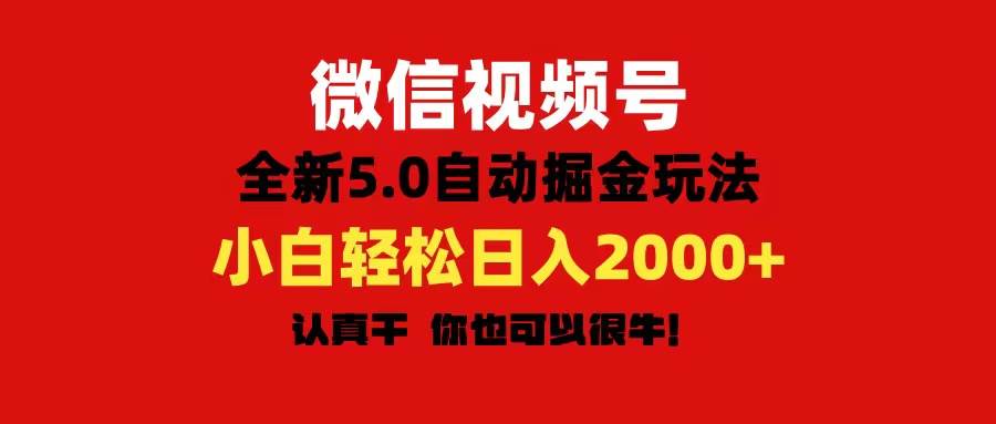 微信视频号变现，5.0全新自动掘金玩法，日入利润2000+有手就行-枫叶微课堂