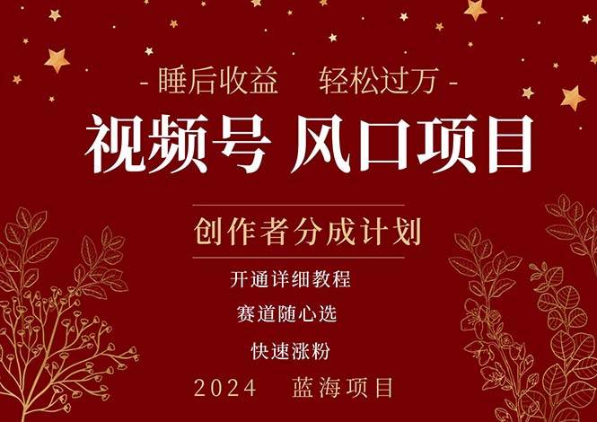 拥有睡眠收益的微信视频号大风口项目，轻松月入过万+，多赛道选择，可…-枫叶微课堂