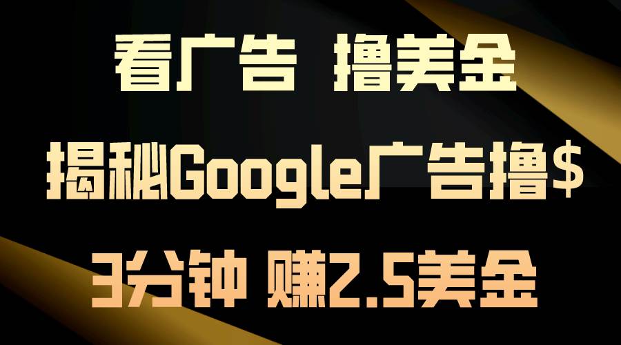 看广告，撸美金！3分钟赚2.5美金！日入200美金不是梦！揭秘Google广告…-枫叶微课堂