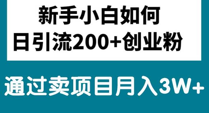 新手小白日引流200+创业粉,通过卖项目月入3W+-枫叶微课堂