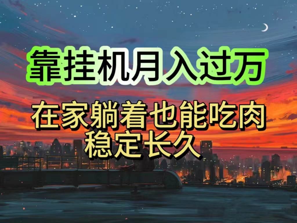 挂机项目日入1000+，躺着也能吃肉，适合宝爸宝妈学生党工作室，电脑手…-枫叶微课堂