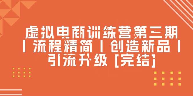 虚拟电商训练营第三期丨流程精简丨创造新品丨引流升级 [完结]-枫叶微课堂