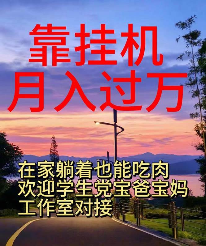 靠挂机，日入1000+，躺着也能吃肉，电脑手机都可挂-枫叶微课堂