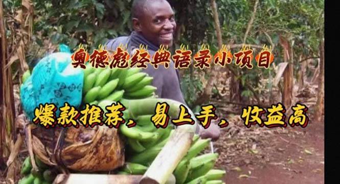 奥德彪经典语录小项目，爆款推荐，易上手，收益高-枫叶微课堂