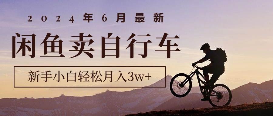 2024年6月最新闲鱼卖自行车，新手小白轻松月入3w+项目-枫叶微课堂