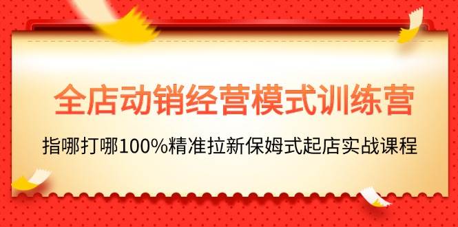全店动销-经营模式训练营，指哪打哪100%精准拉新保姆式起店实战课程-枫叶微课堂