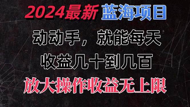 有手就行的2024全新蓝海项目，每天1小时收益几十到几百，可放大操作收…-枫叶微课堂