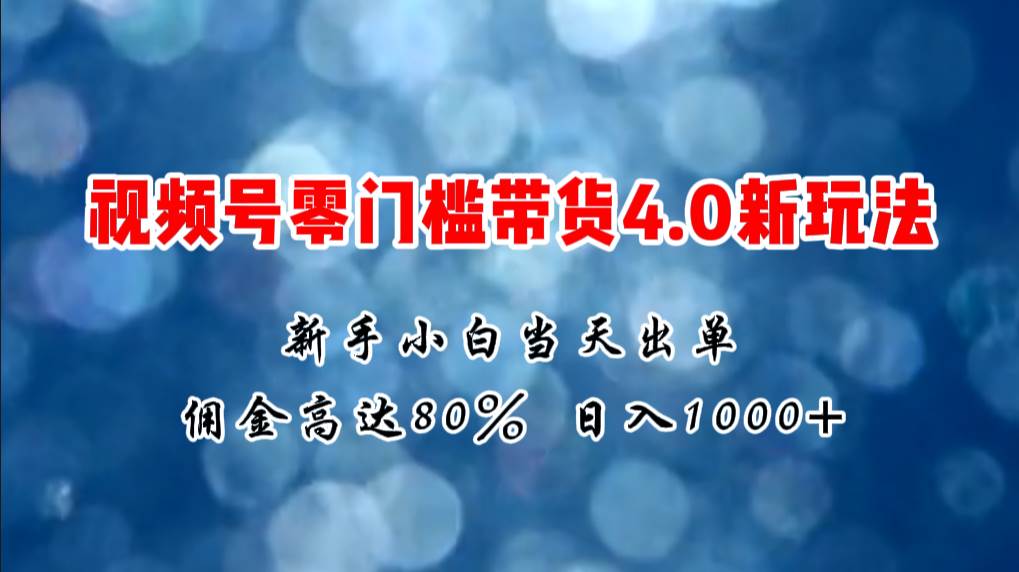 微信视频号零门槛带货4.0新玩法，新手小白当天见收益，日入1000+-枫叶微课堂