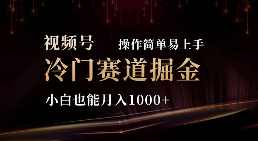 2024视频号冷门赛道掘金，操作简单轻松上手，小白也能月入1000+-枫叶微课堂