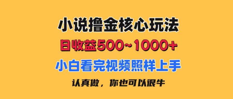 小说撸金核心玩法，日收益500-1000+，小白看完照样上手，0成本有手就行-枫叶微课堂