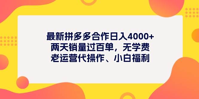 最新拼多多项目日入4000+两天销量过百单，无学费、老运营代操作、小白福利-枫叶微课堂