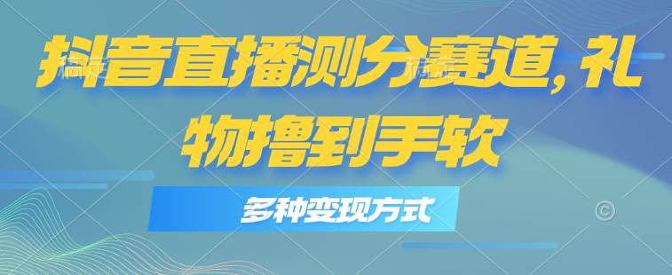 抖音直播测分赛道，多种变现方式，轻松日入1000+-枫叶微课堂