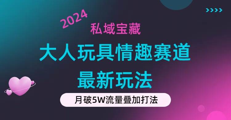 私域宝藏：大人玩具情趣赛道合规新玩法，零投入，私域超高流量成单率高-枫叶微课堂