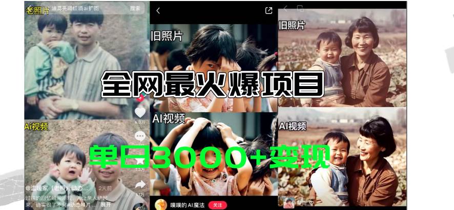 全网爆火的AI让老照片动起来教程，蹭热点日赚3000+，内含免费工具一键…-枫叶微课堂