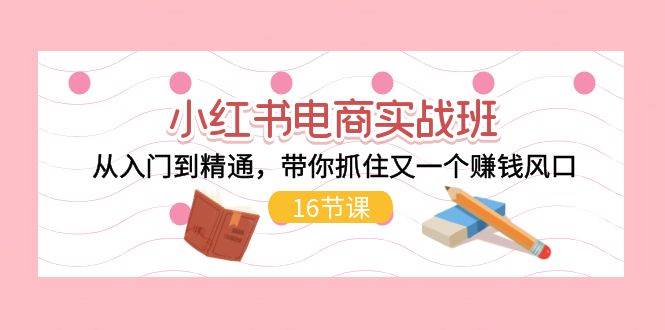 小红书电商实战班，从入门到精通，带你抓住又一个赚钱风口（16节）-枫叶微课堂