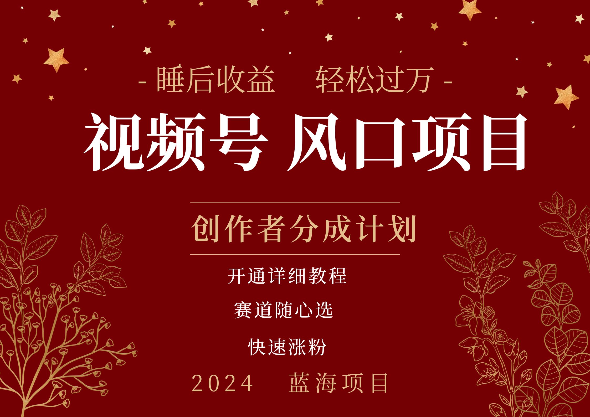 拥有睡眠收益的微信视频号大风口项目，轻松月入过万+，多赛道选择，可矩阵，玩法简单轻松上手-枫叶微课堂