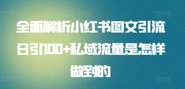 日引流100私域流量小红书图文是怎样做到的全面解析-枫叶微课堂