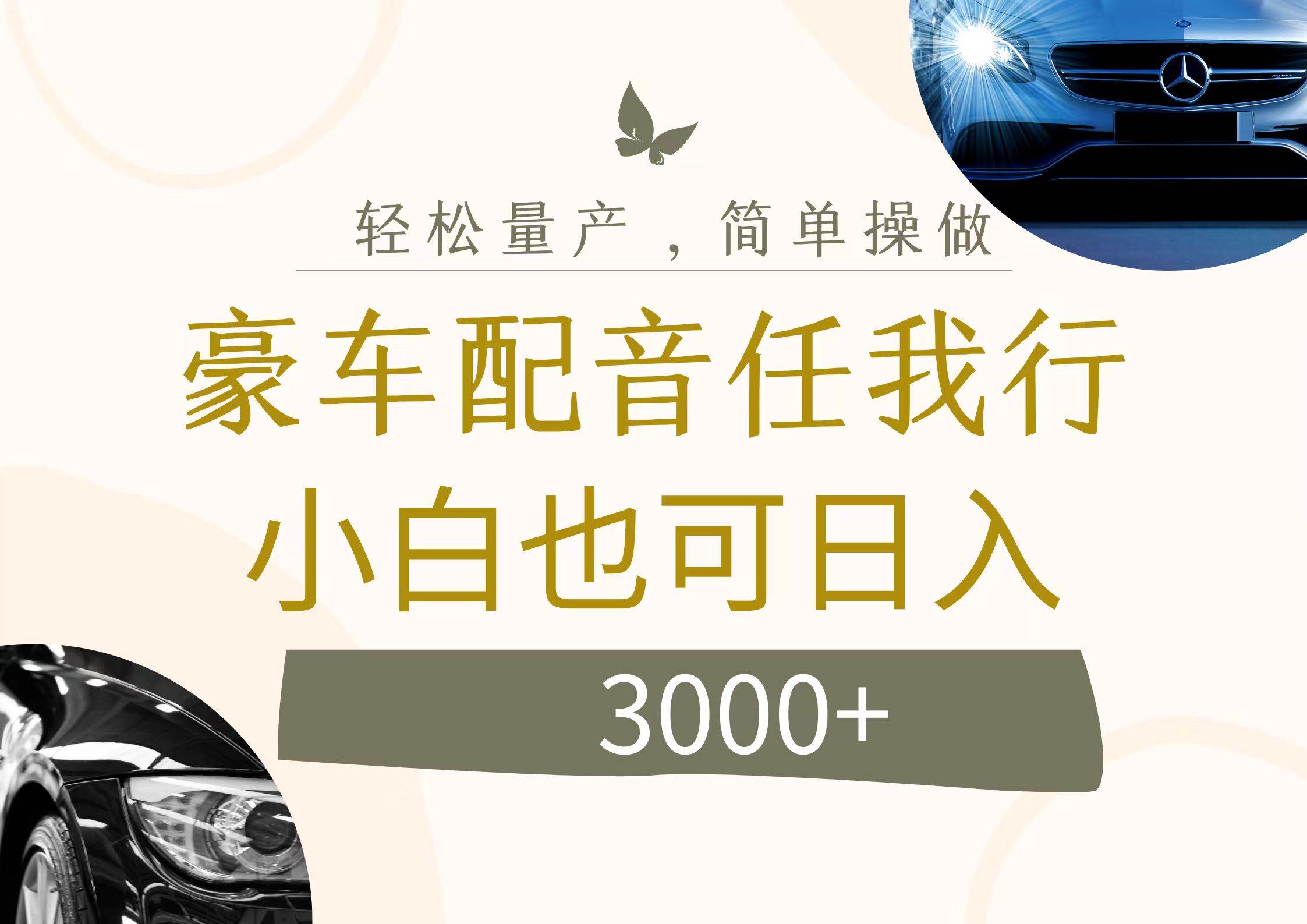 不为人知的暴力小项目，豪车配音，日入3000+-枫叶微课堂