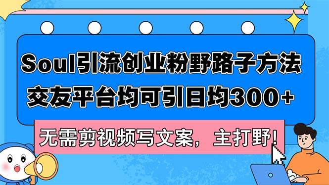 Soul引流创业粉野路子方法，交友平台均可引日均300+，无需剪视频写文案…-枫叶微课堂