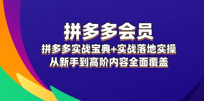拼多多 会员，拼多多实战宝典+实战落地实操，从新手到高阶内容全面覆盖-枫叶微课堂