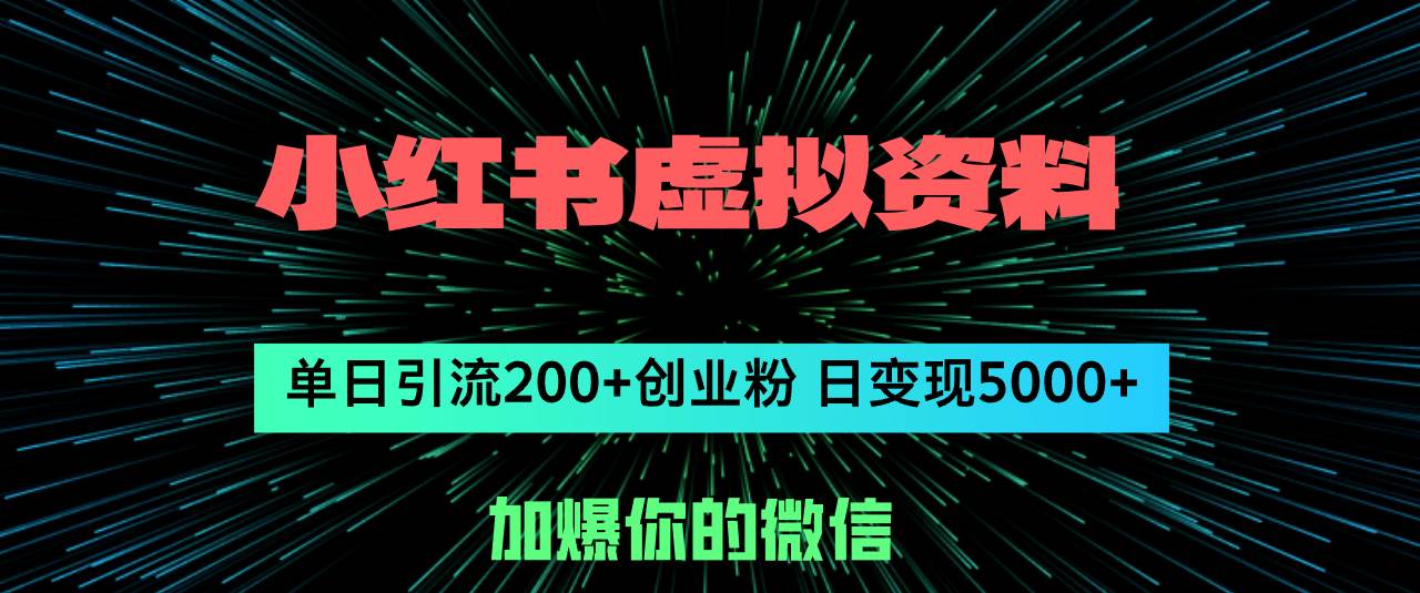 小红书虚拟资料日引流200+创业粉，单日变现5000+-枫叶微课堂