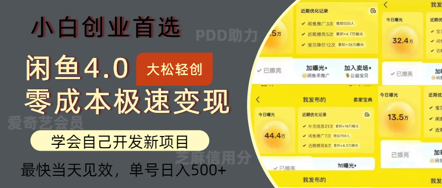 闲鱼0成本极速变现项目，多种变现方式，单号日入500+最新玩法-枫叶微课堂