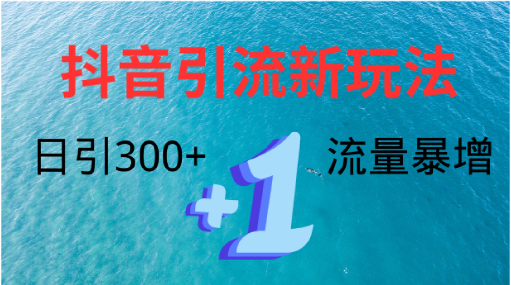创业粉高效引流，抖音工具号玩法4.0，日引300+-枫叶微课堂