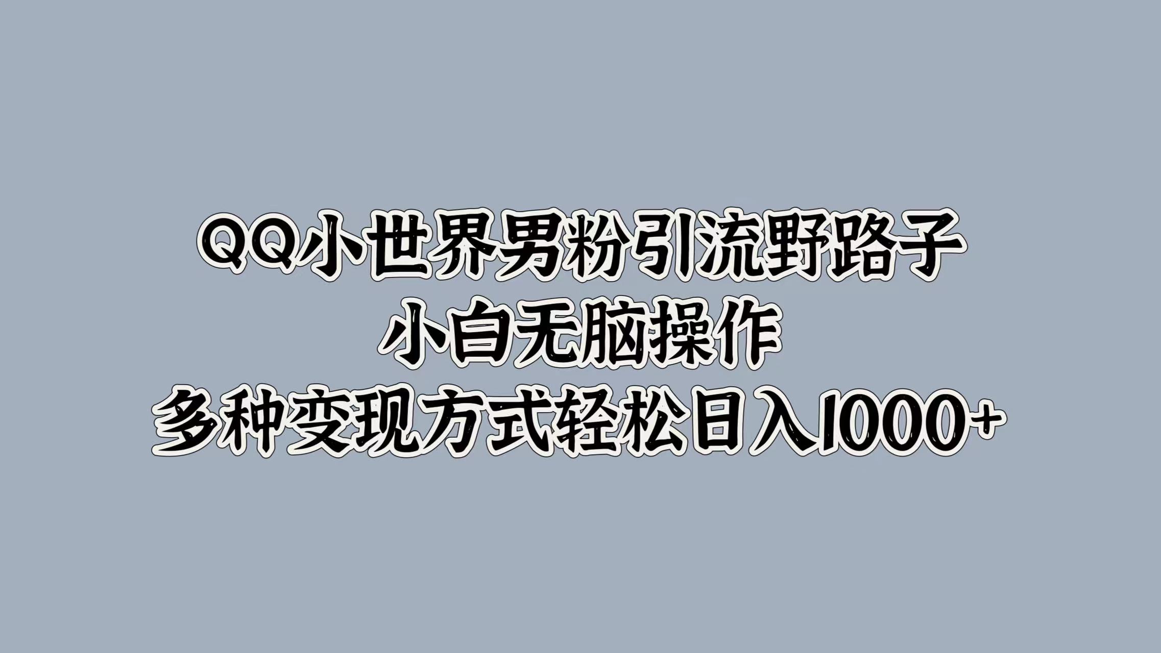 QQ小世界男粉引流野路子，小白无脑操作，多种变现方式轻松日入1000+-枫叶微课堂